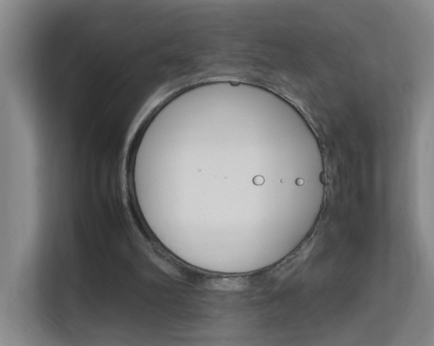 X0000113870102200909241014
