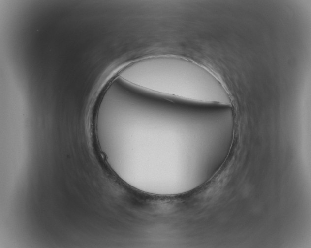 X0000113870103200909241014