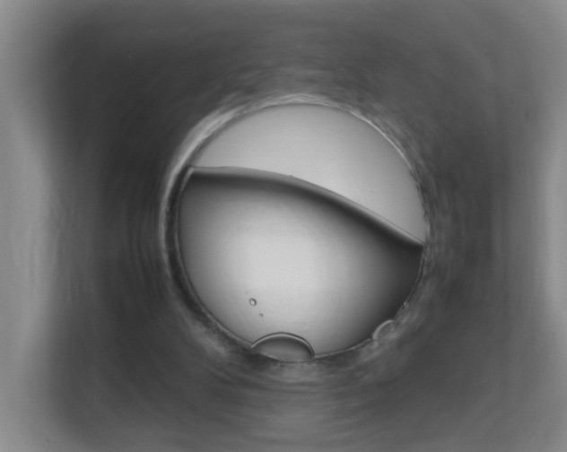 X0000113870104200909241014