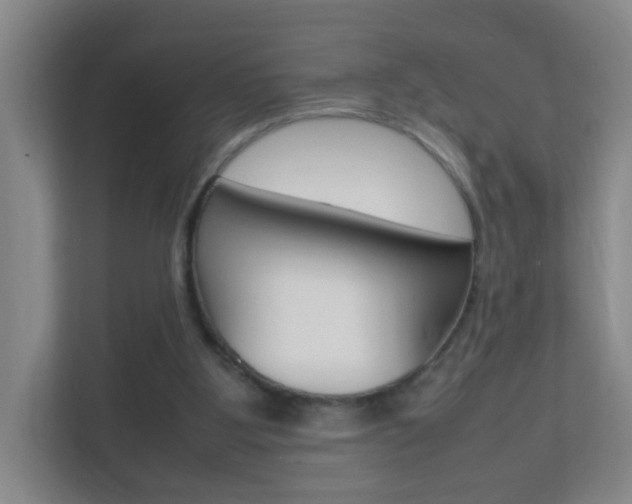 X0000113870107200909241014
