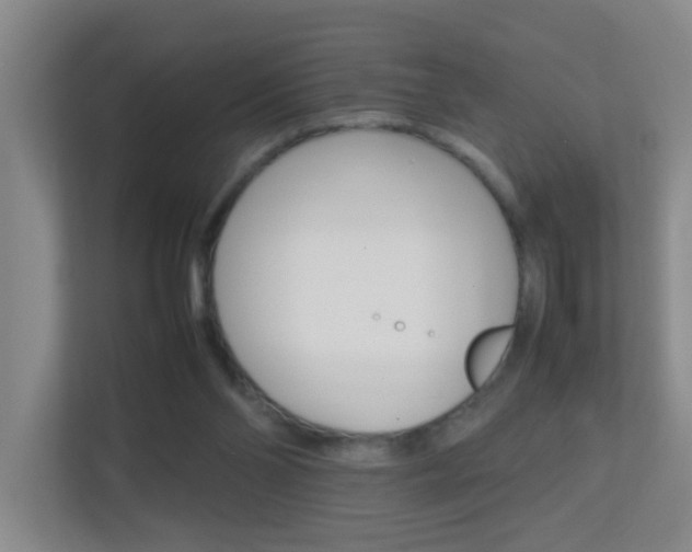 X0000113870110200909241014