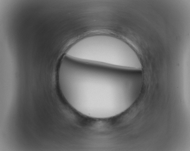 X0000113870111200909241014