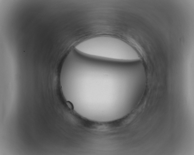 X0000113870113200909241014