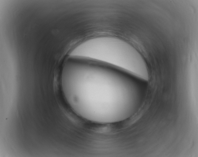 X0000113870116200909241014
