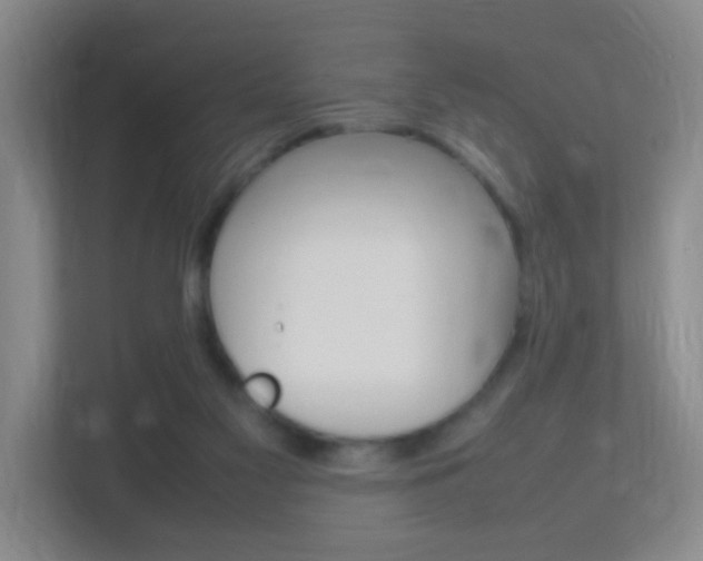 X0000113870117200909241014