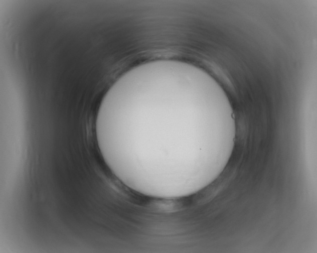 X0000113870118200909241014