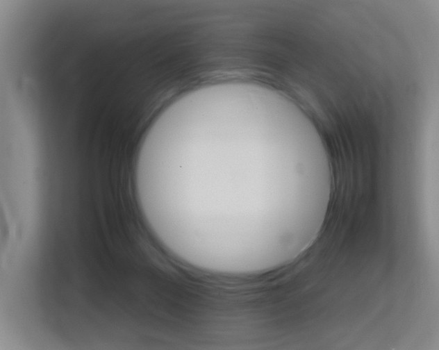 X0000113870120200909241014