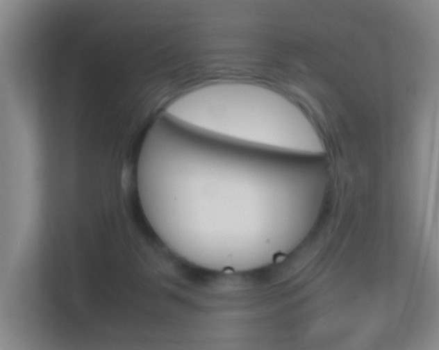 X0000113870123200909241014