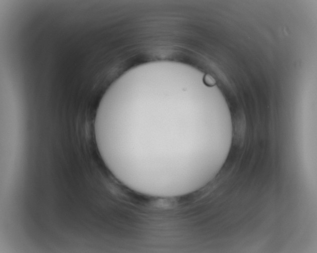 X0000113870126200909241014