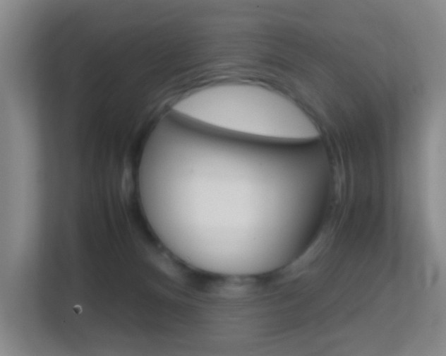 X0000113870128200909241014