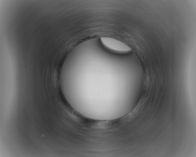 X0000113870136200909241014