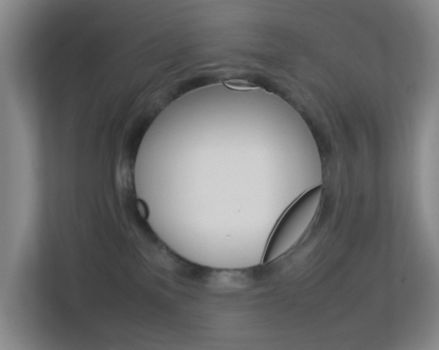 X0000113870137200909241014