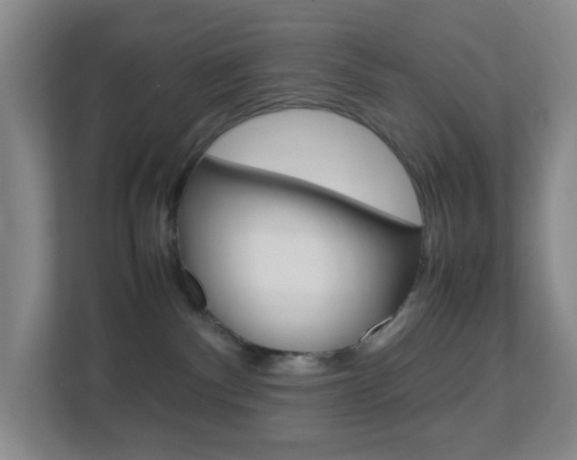 X0000113870140200909241014