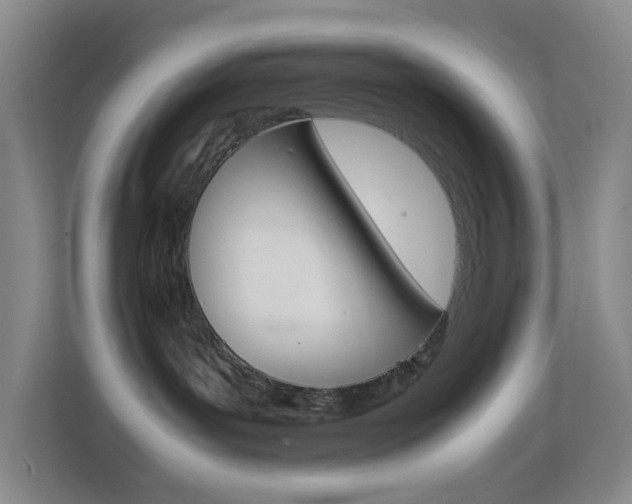 X0000113870143200909241014