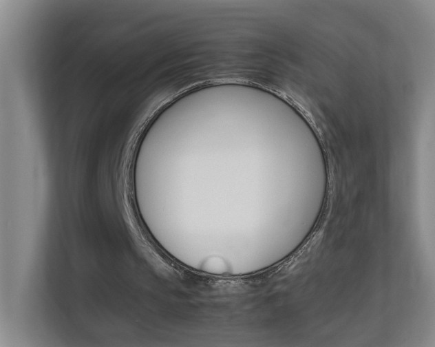 X0000113870145200909241013