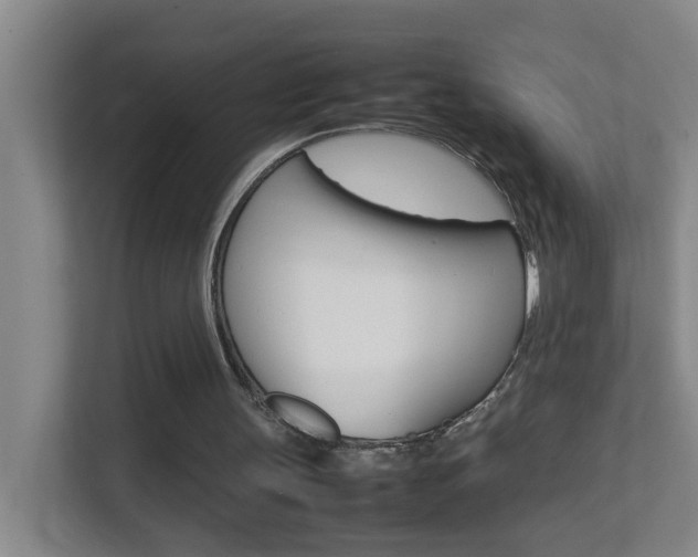 X0000113870147200909241013