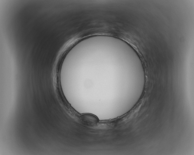 X0000113870149200909241013