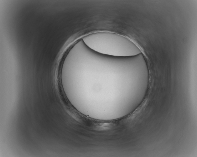X0000113870151200909241013