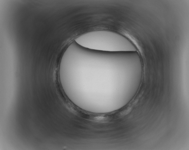 X0000113870153200909241013