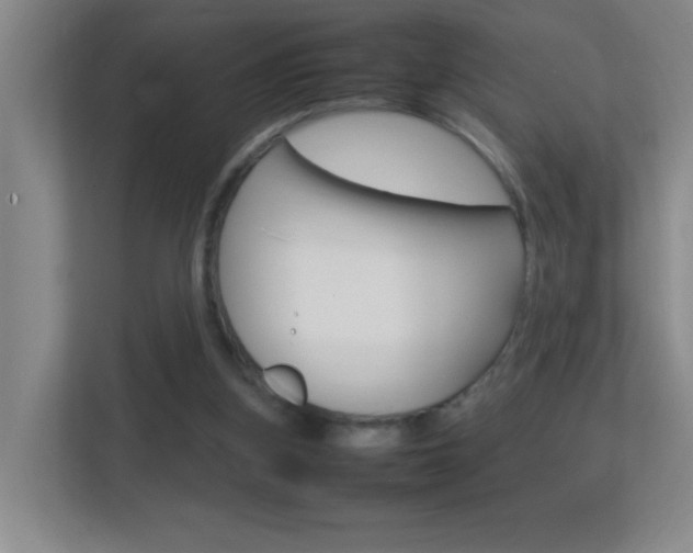X0000113870155200909241013