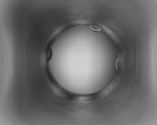 X0000113870158200909241013