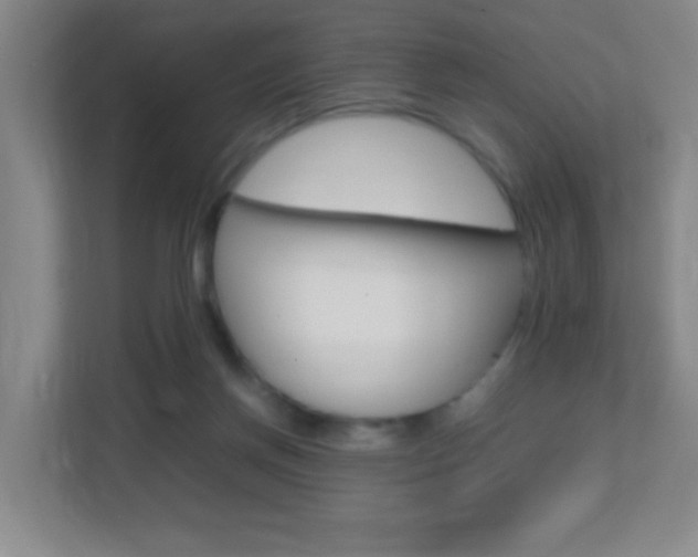 X0000113870166200909241013