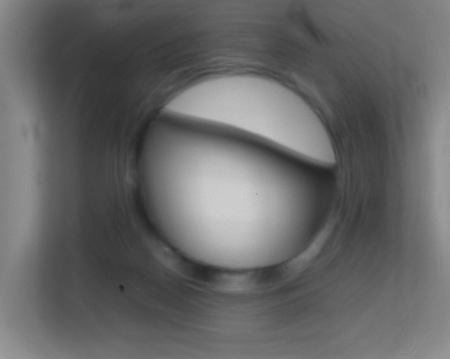 X0000113870170200909241013
