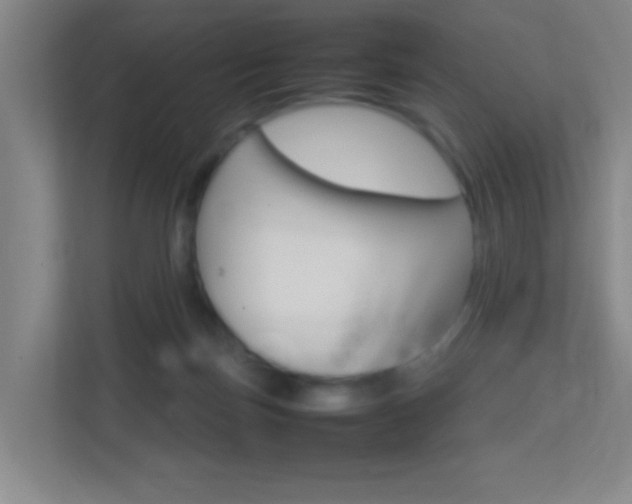 X0000113870171200909241013