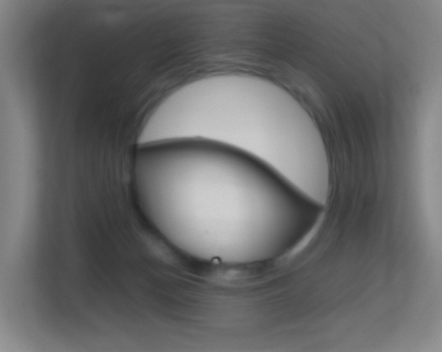 X0000113870174200909241013