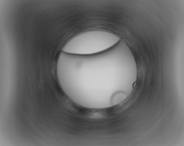 X0000113870175200909241013