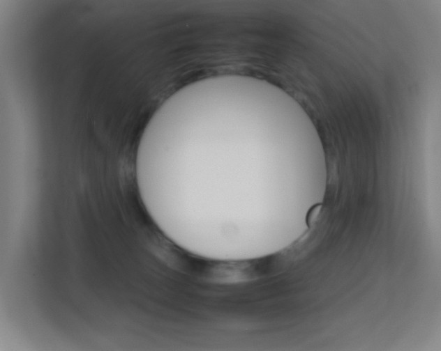 X0000113870179200909241013