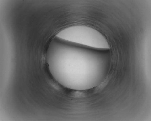 X0000113870180200909241013