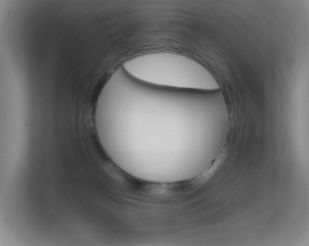 X0000113870182200909241014