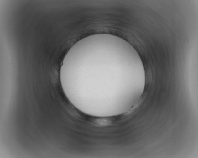 X0000113870183200909241014