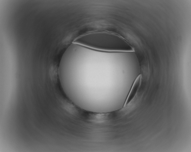 X0000113870184200909241014
