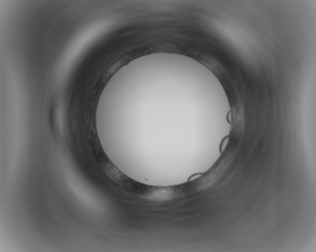 X0000113870189200909241014