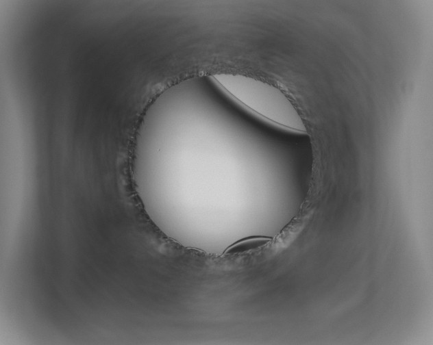 X0000113870192200909241014