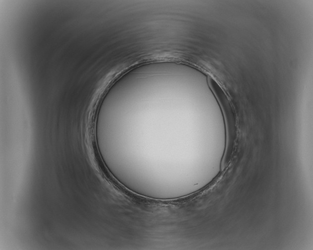 X0000113870193200909241013