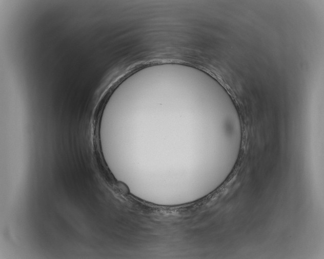X0000113870194200909241013