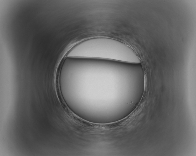 X0000113870195200909241013