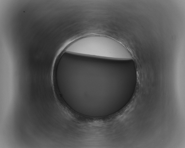 X0000113870196200909241013