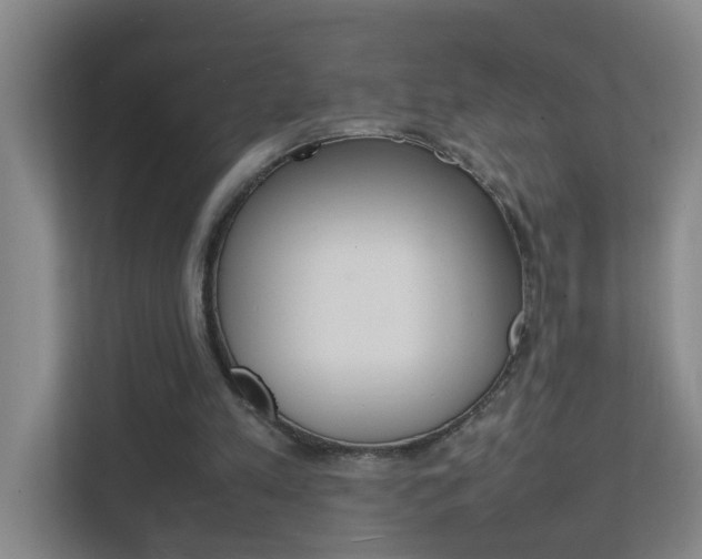 X0000113870197200909241013