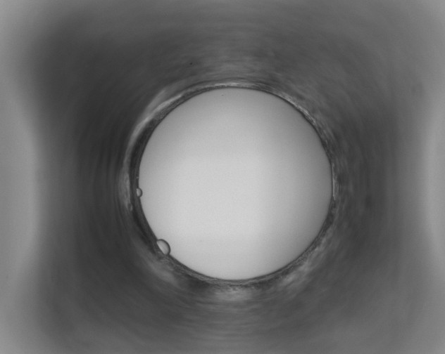 X0000113870198200909241013
