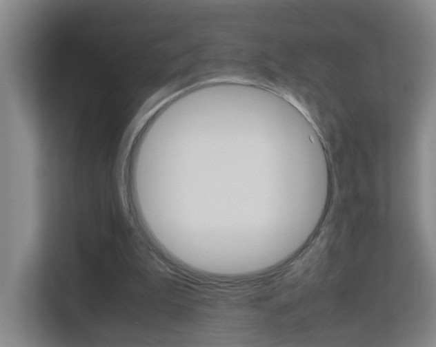 X0000113870199200909241013