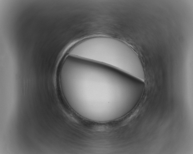 X0000113870200200909241013