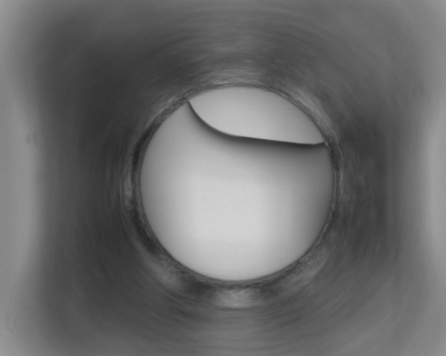 X0000113870202200909241013