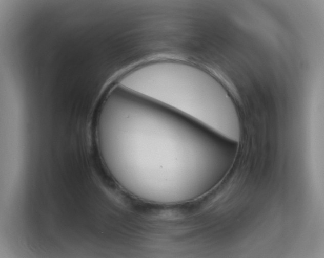 X0000113870204200909241013