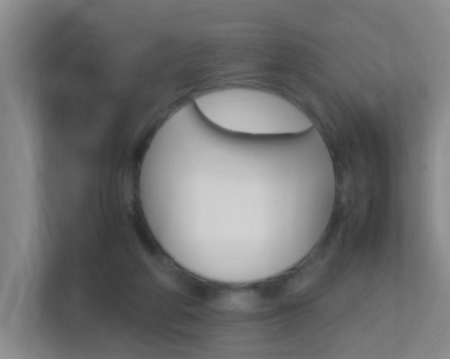 X0000113870210200909241013