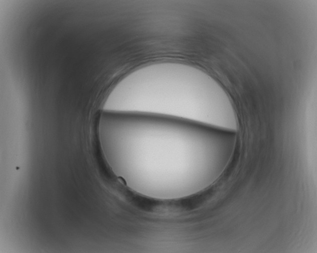 X0000113870211200909241013