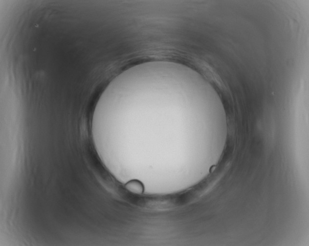 X0000113870213200909241013